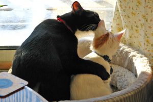listen_do_you_want_to_know_a_secret